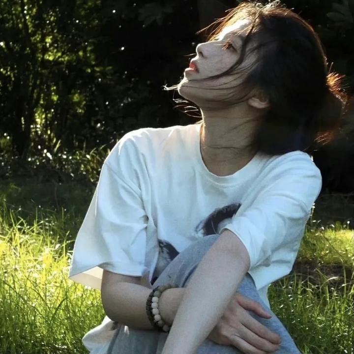 黑眉蚊